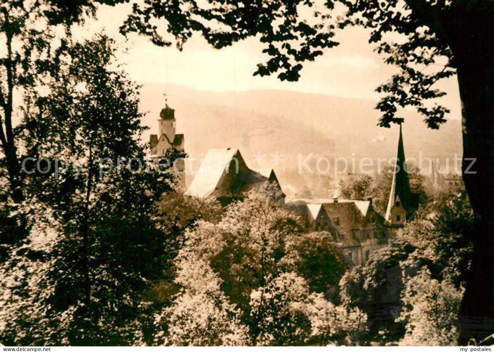 Hartenstein Zwickau Teilansicht