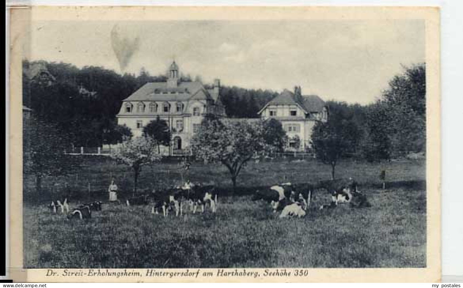 Hartha Doebeln Kurort Hartha Hintergersdorf