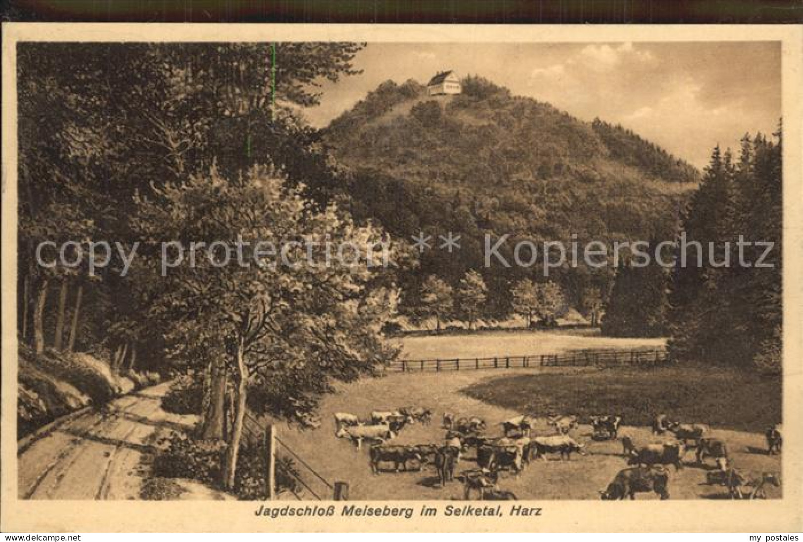 Harzgerode Jagdschloss Meiseberg