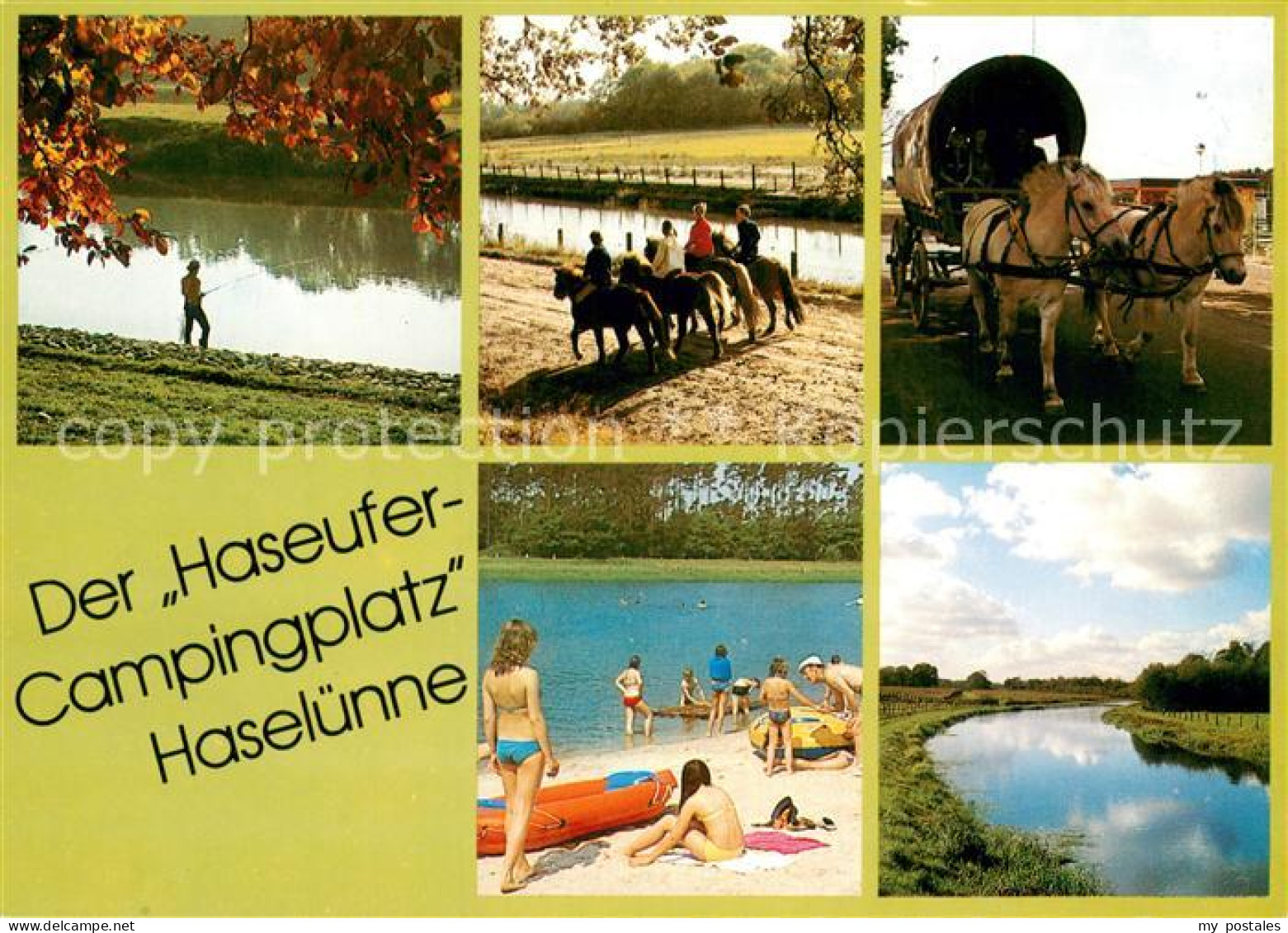 Haseluenne Haseufer-Campingplatz Angeln Ponyreiten Planwagen Badestrand Natur