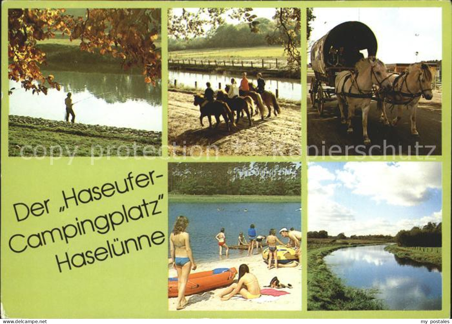 Haseluenne Haseufercampingplatz Pferdekutsche Angeln