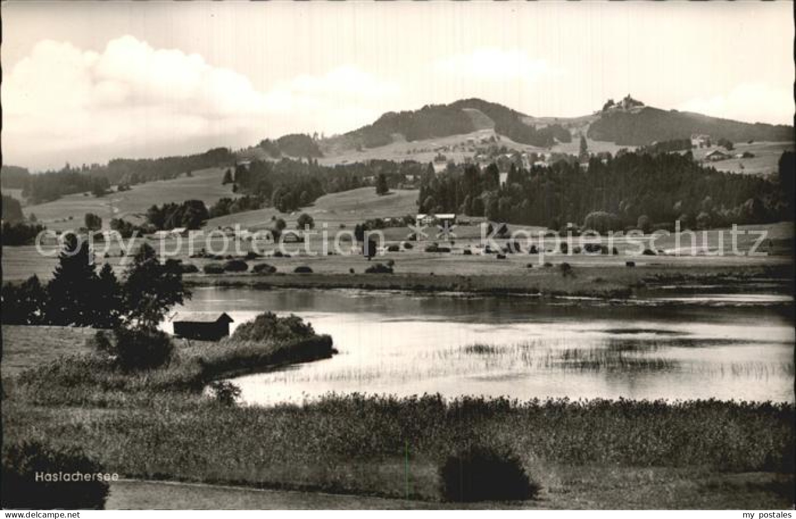 Haslach Bad Aibling Haslachersee