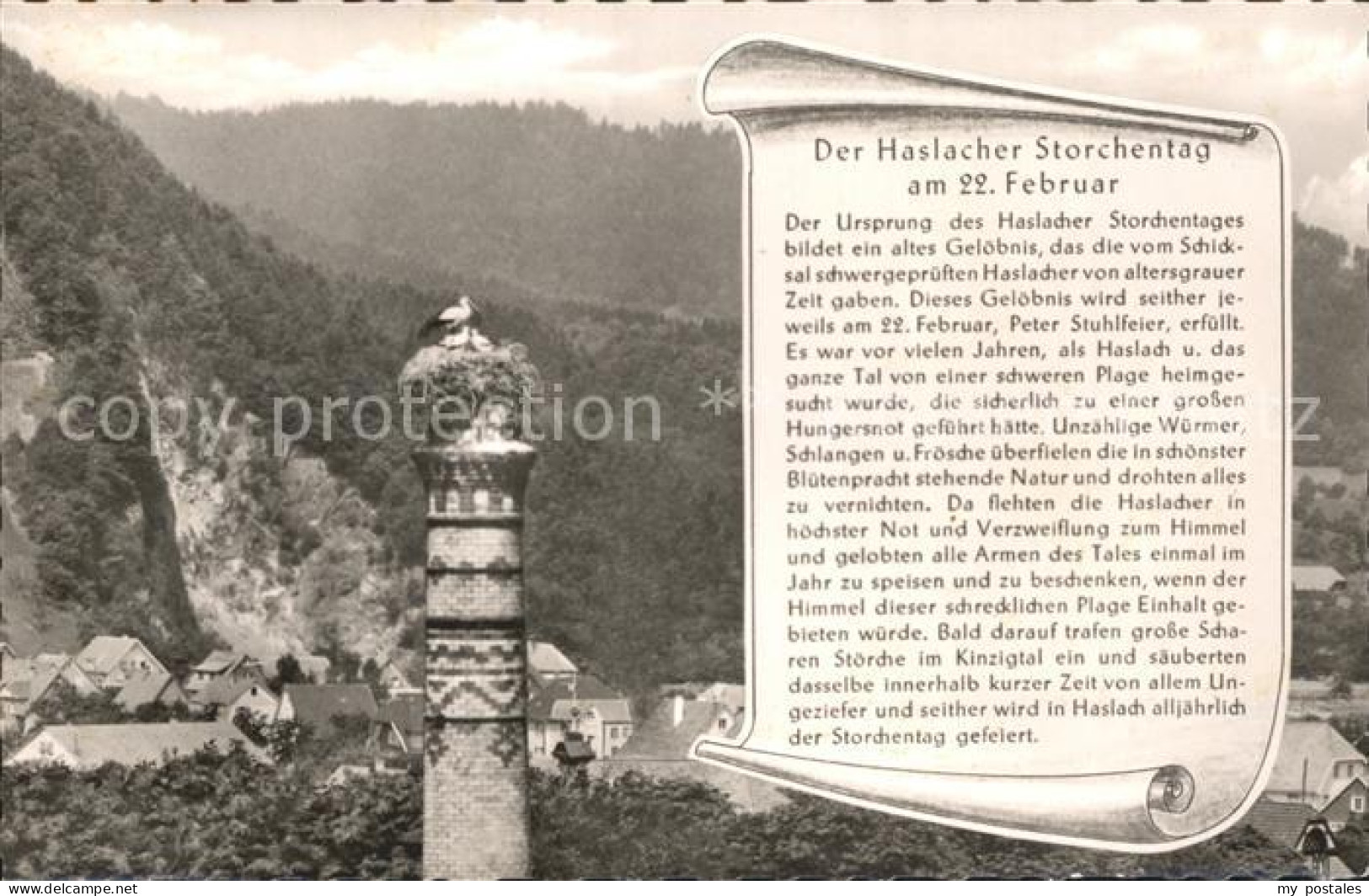 Haslach Kinzigtal Storchentag