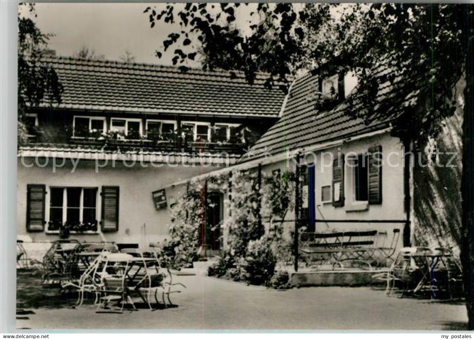 Hassloch Pfalz Naturfreundehaus