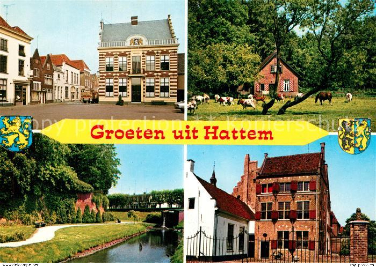 Hattem Zwolle Rathaus Kanal Bauernhaus Viehweide Altes Gebaeude