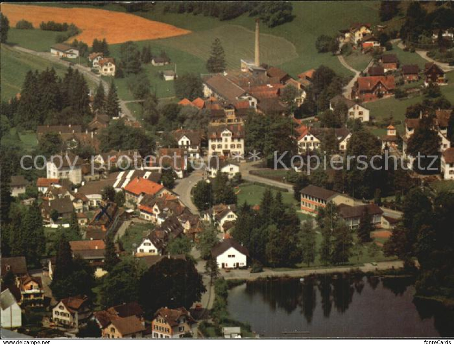 Hauptwil Luftaufnahme Ansicht See