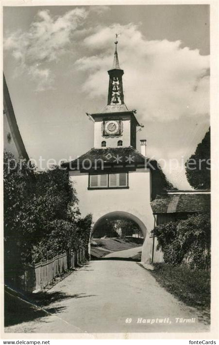 Hauptwil Tuermli Torbogen
