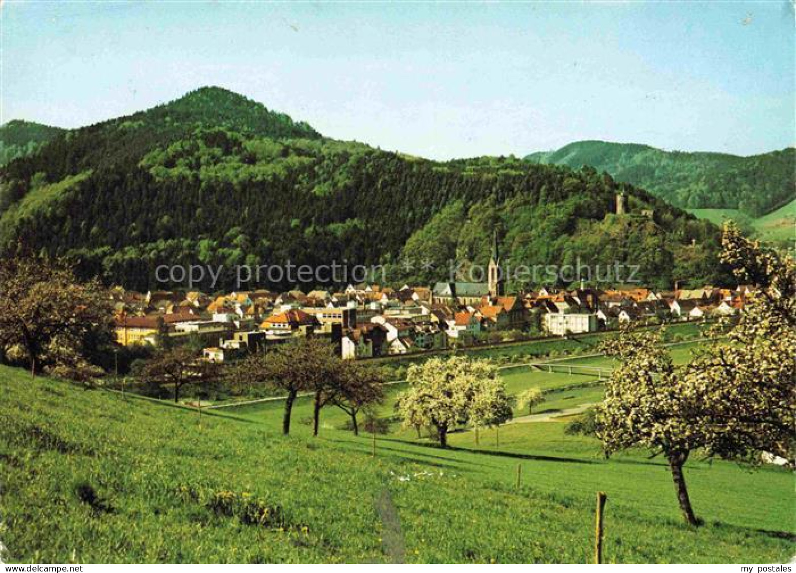 Hausach Panorama