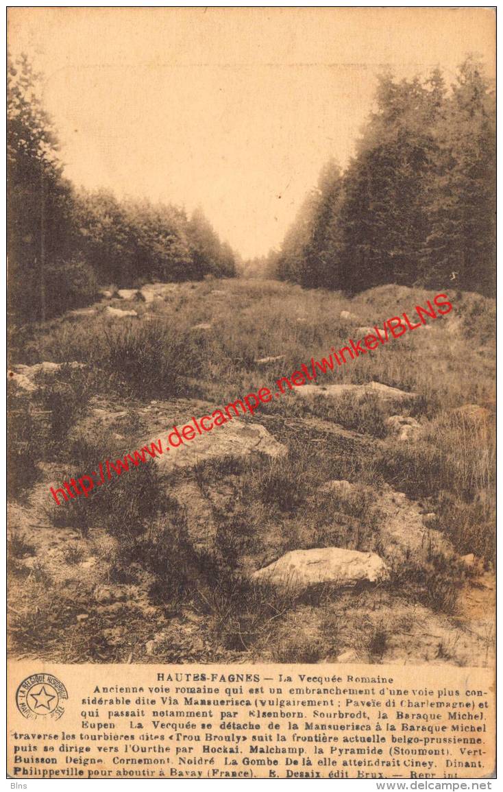 Hautes-Fagnes - Sankt Vith