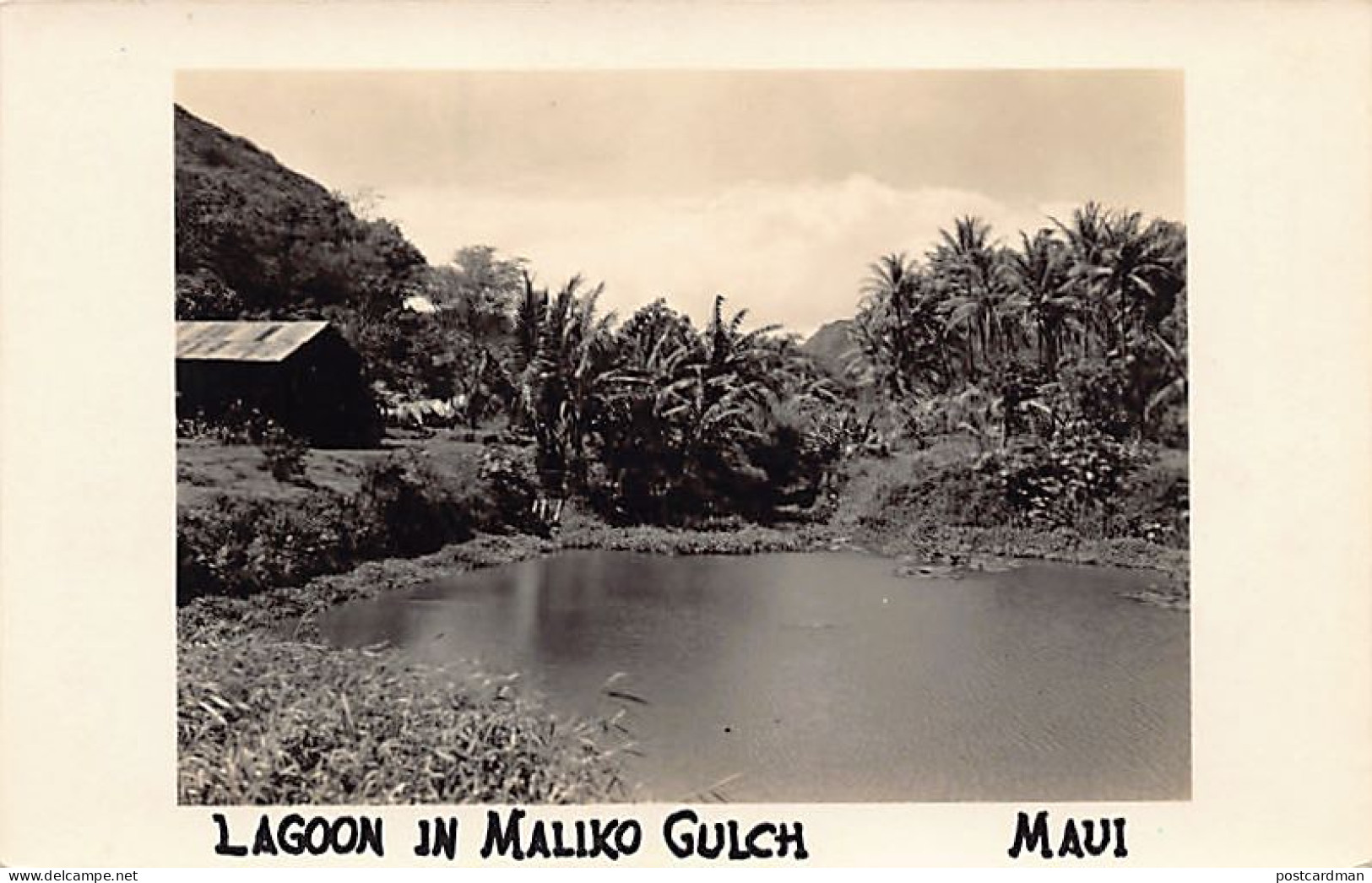 Hawaii - MAUI - Lagoon in Maliko Gulch - REAL PHOTO - Publ. unknown