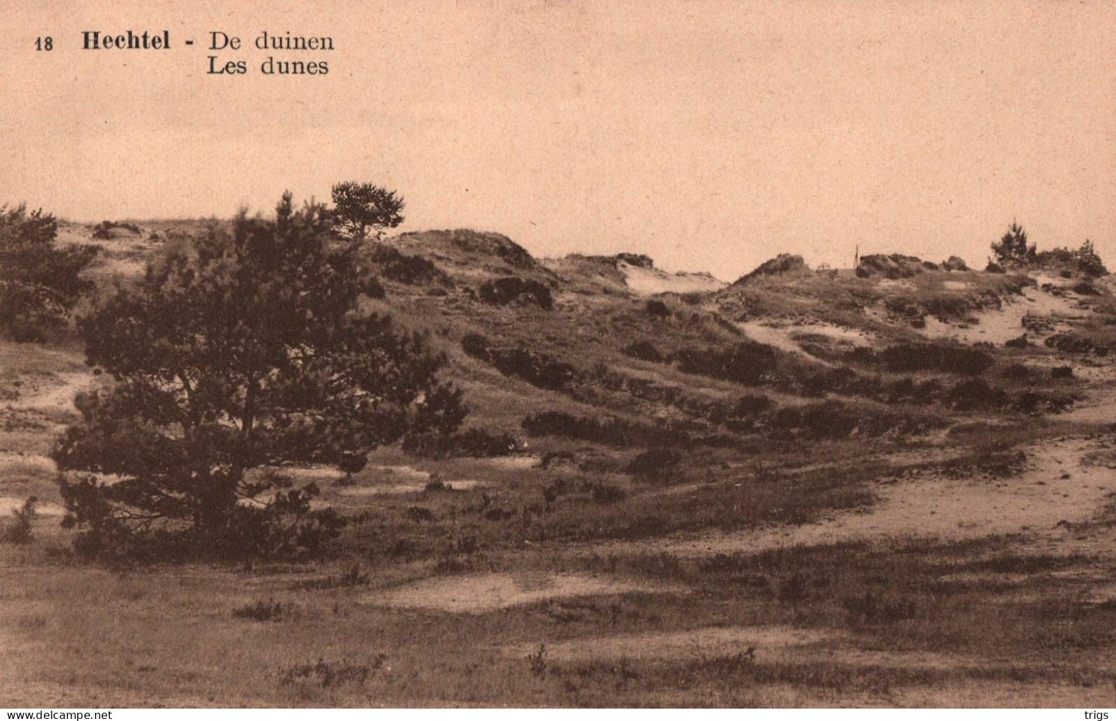 Hechtel - de Duinen