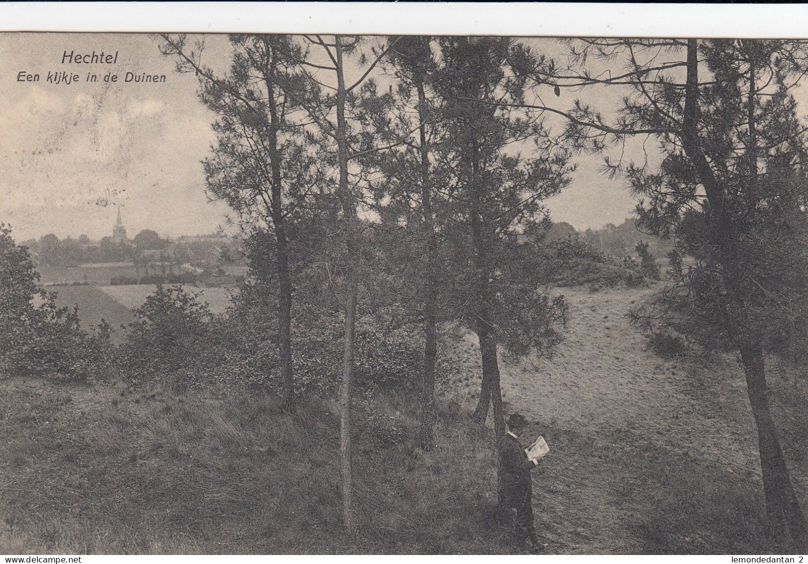 Hechtel-Eksel - Een kijkje in de duinen