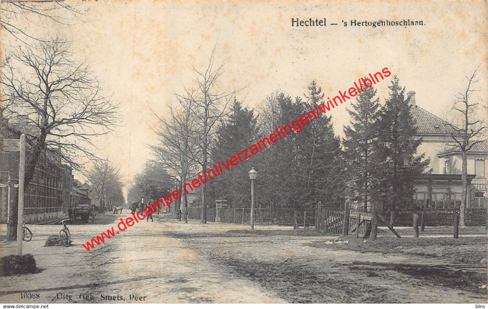 Hechtel - 's Hertogenboschlaan - Hechtel-Eksel