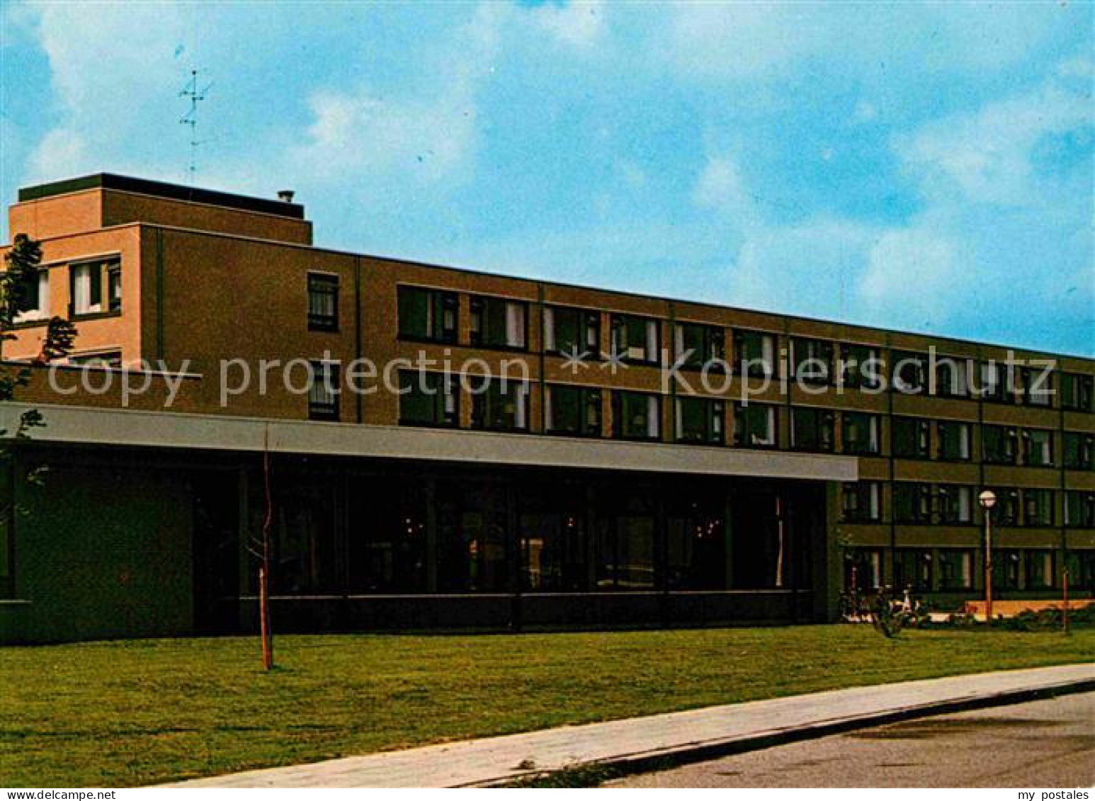 Heerenveen Coornhert State Vogelwijk De Greiden