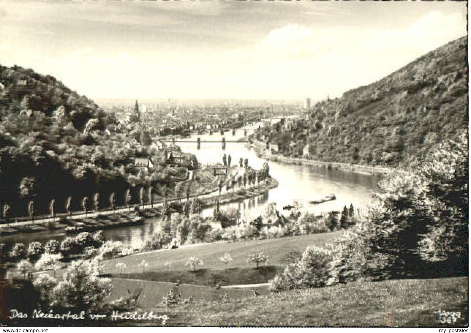 Heidelberg Neckar Heidelberg Neckartal