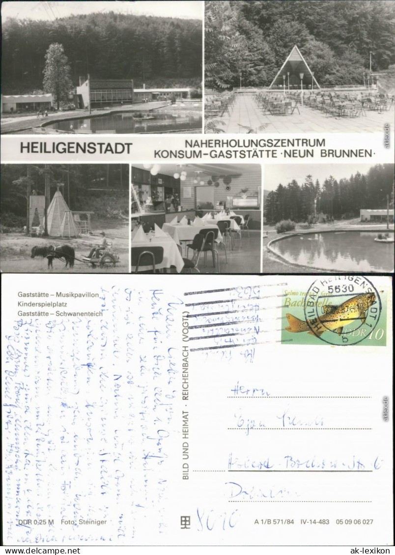 Heilbad Heiligenstadt Naherholungszentrum -  Spielplatz, Schwanenteich 1984