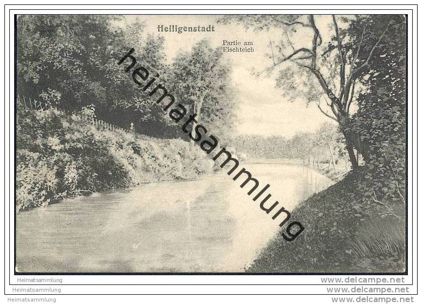 Heiligenstadt Eichsfeld - Fischteich