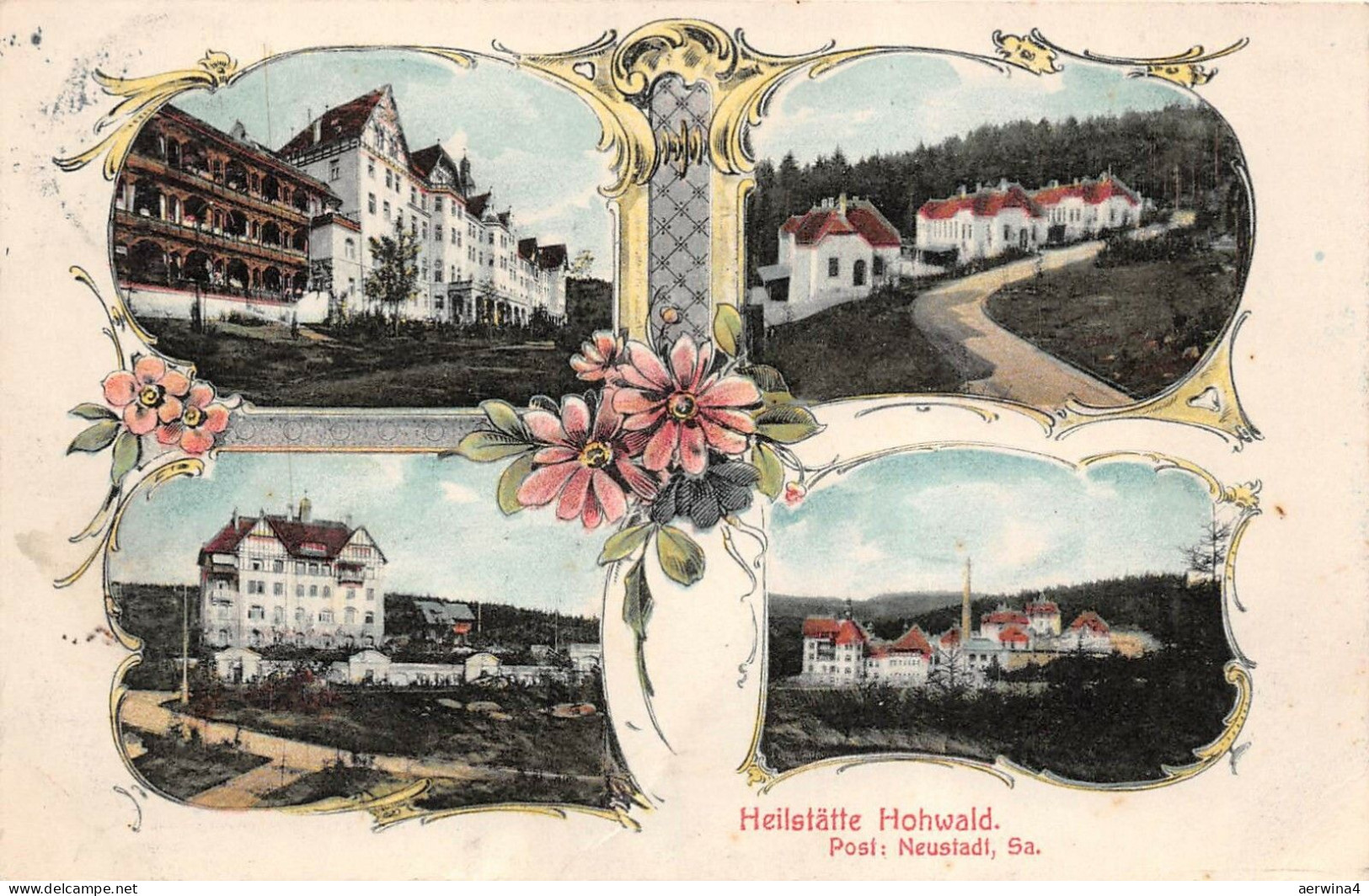 Heilstätte Hohwald bei Neustadt Sachsen Litho Postkarte AK 1911