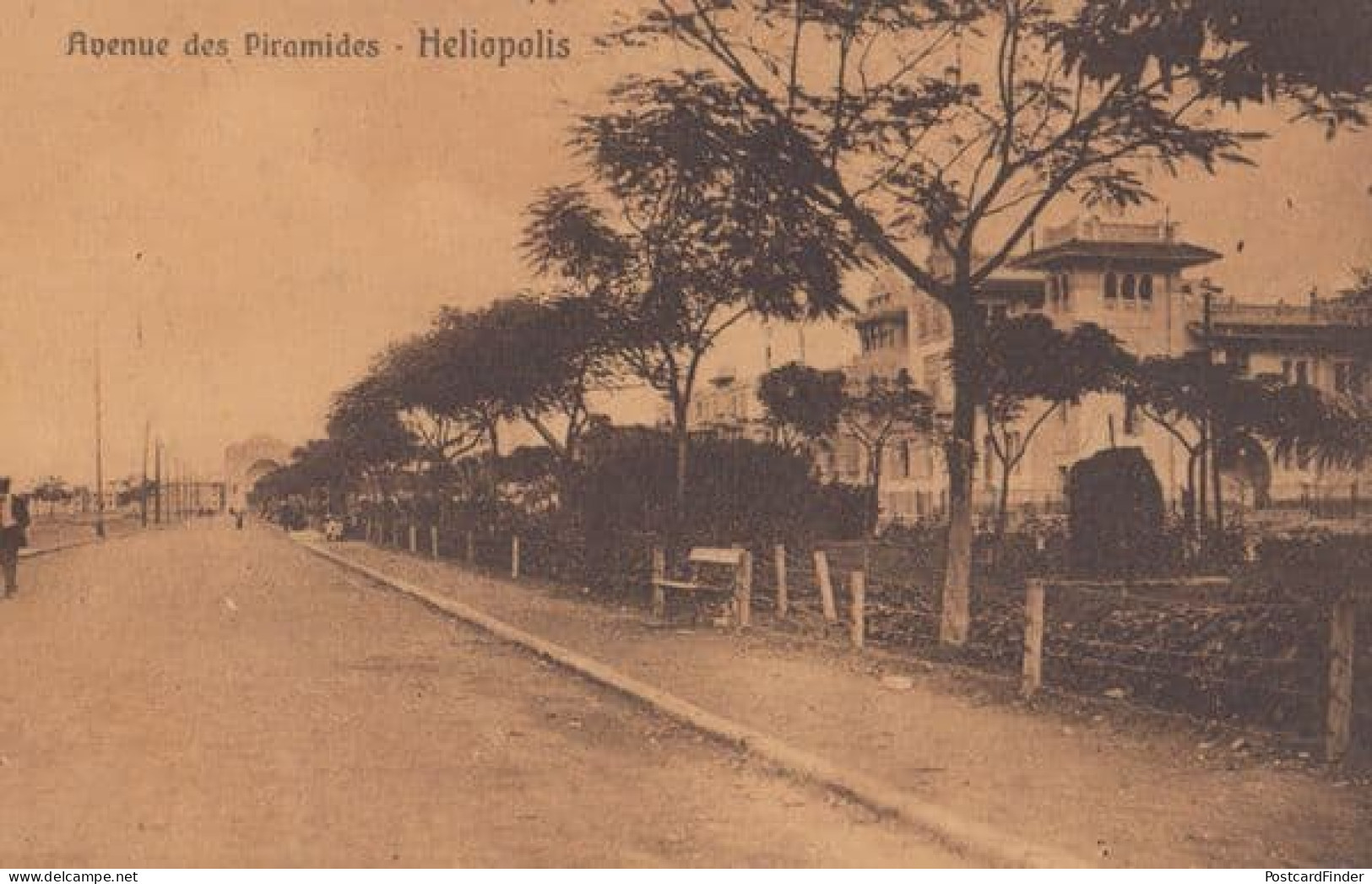 Heliopolis Avenue Des Piramides Antique Postcard