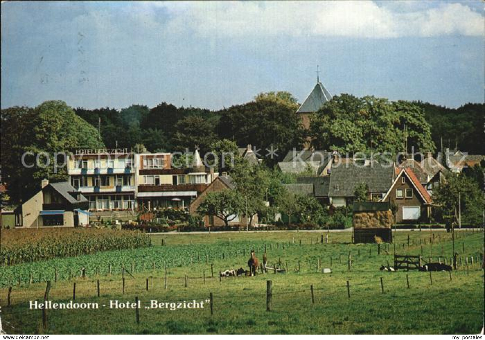 Hellendoorn Hotel Bergzicht