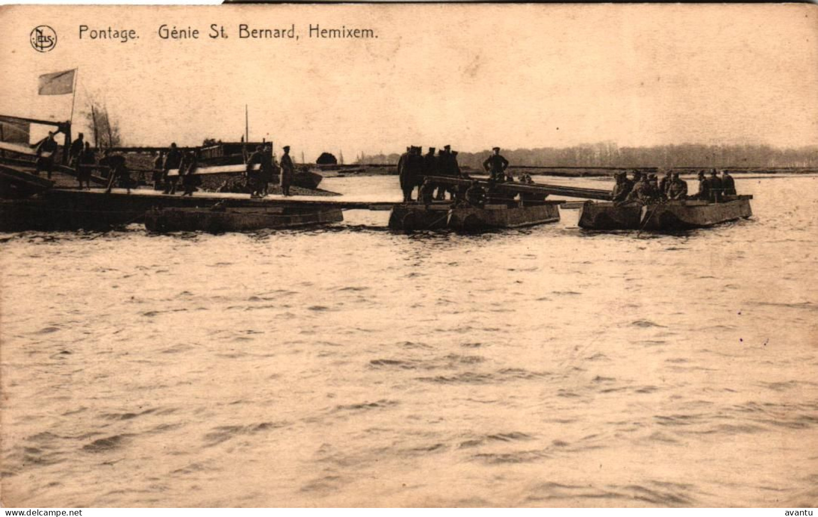 HEMIKSEM / GENIE ST BERNARD