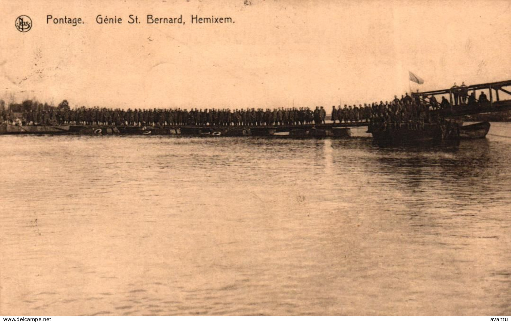 HEMIKSEM / GENIE ST BERNARD