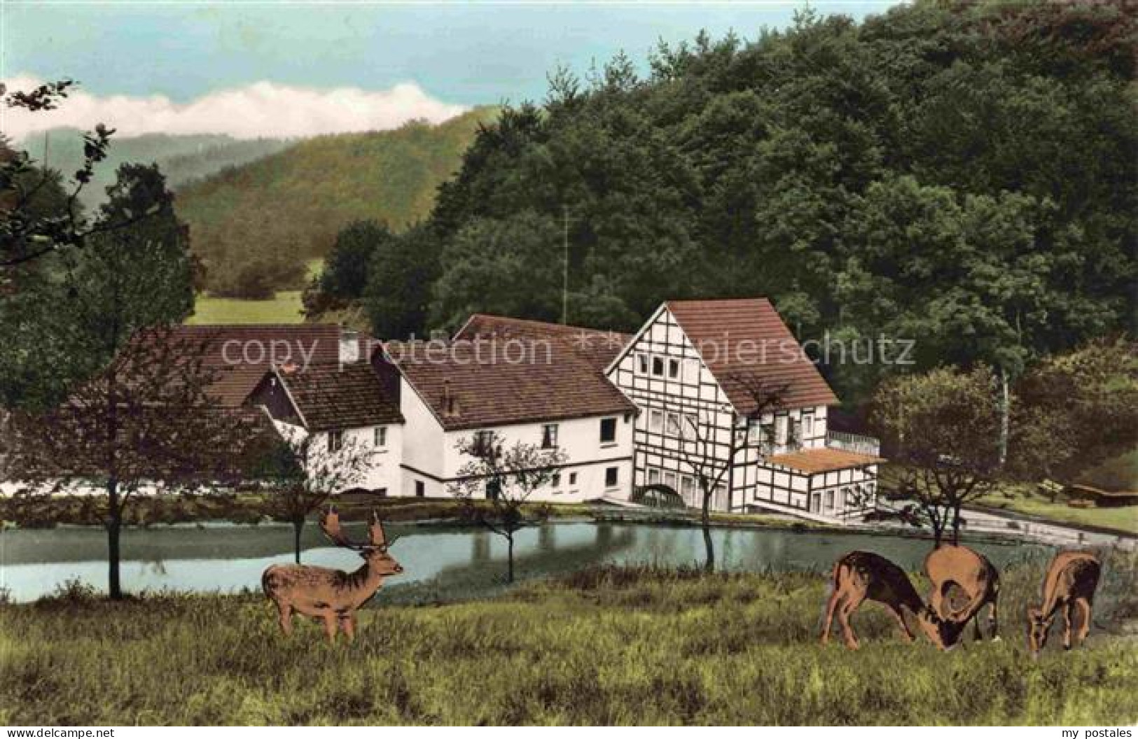 Hennef Sieg Hotel Restaurant Winterscheider Muehle