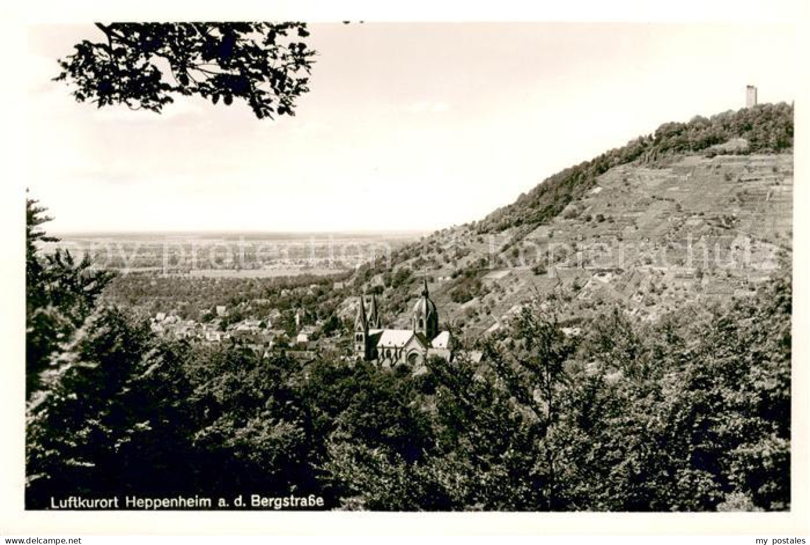 Heppenheim Bergstrasse Panorama