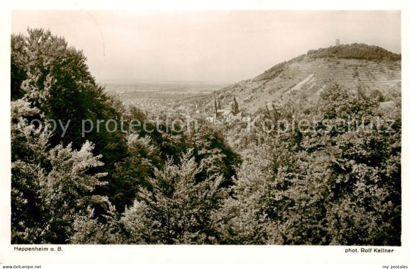 Heppenheim Bergstrasse Panorama