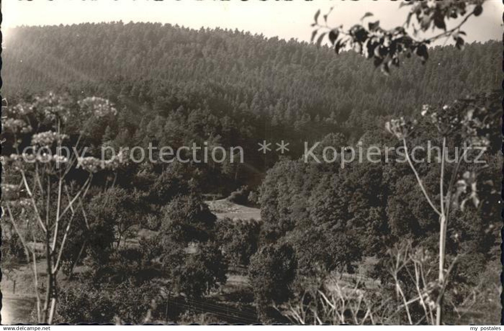 Herborn Hessen Waldpartie