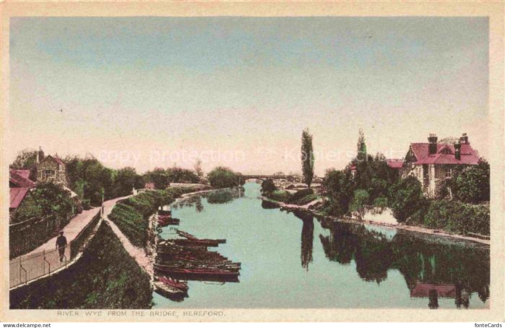 Hereford  Herefordshire UK River Wye from the Bridge