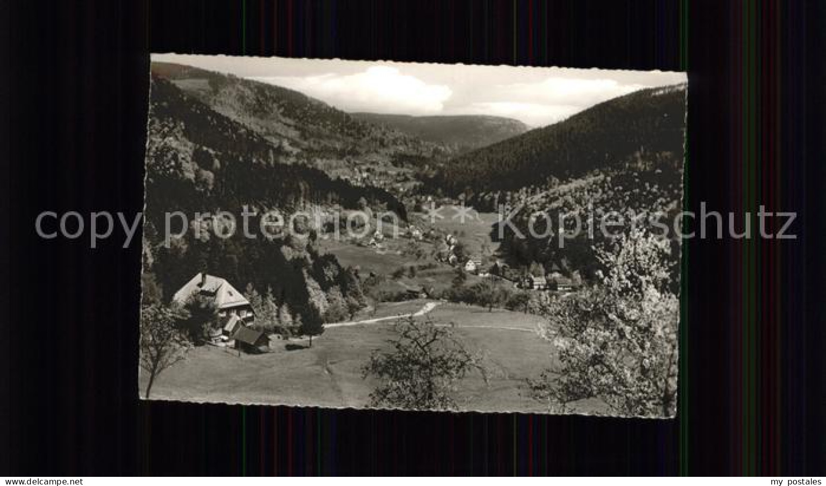 Herrenalb Bad Herrenalb Gaistal