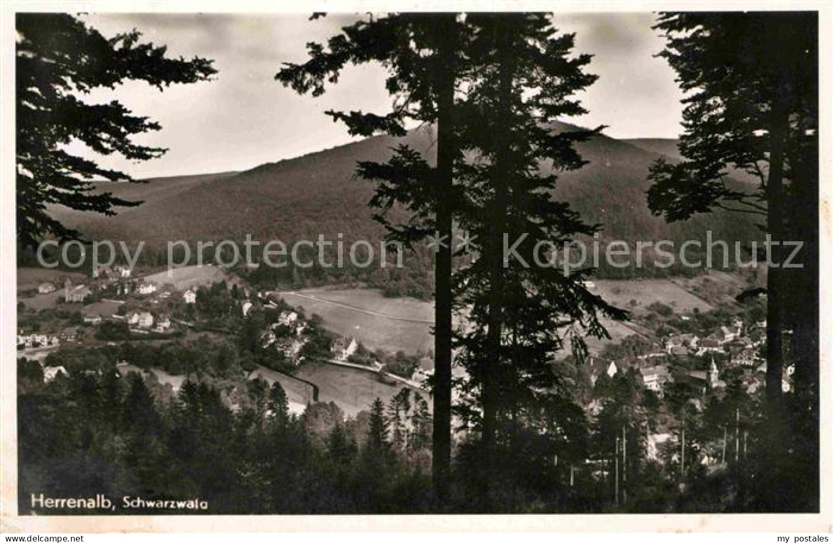 Herrenalb Bad Herrenalb Luftbild