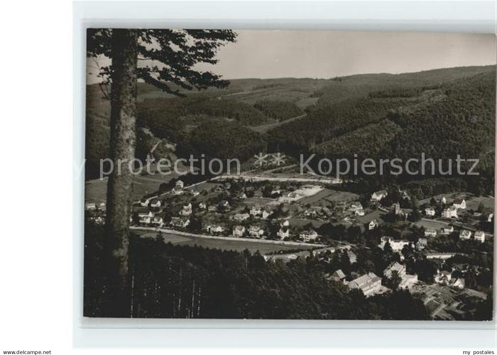 Herrenalb Bad Herrenalb Panorama