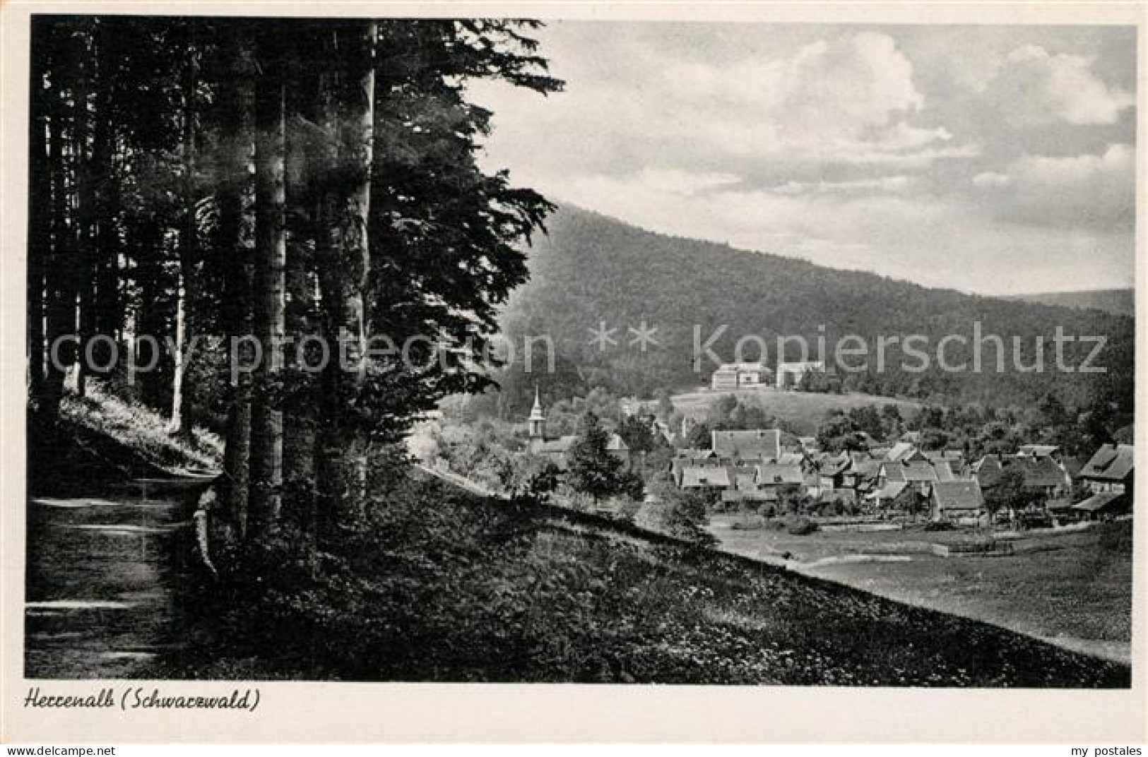Herrenalb Bad Herrenalb Panorama