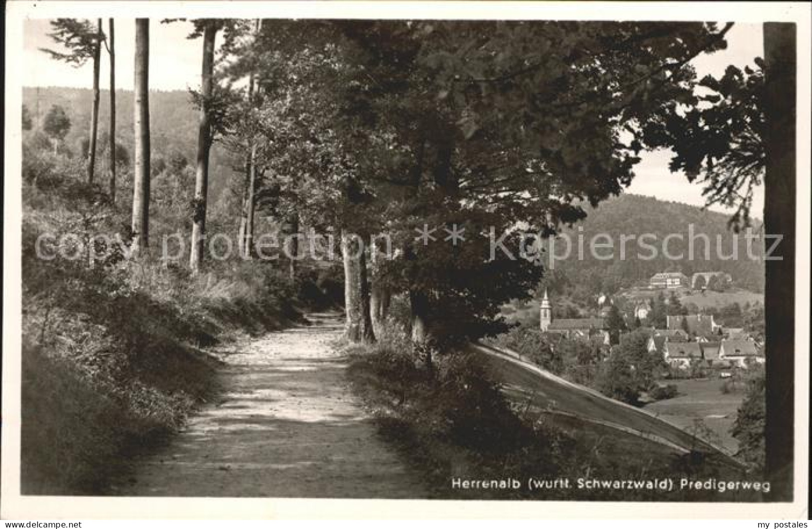 Herrenalb Bad Herrenalb Predigerweg