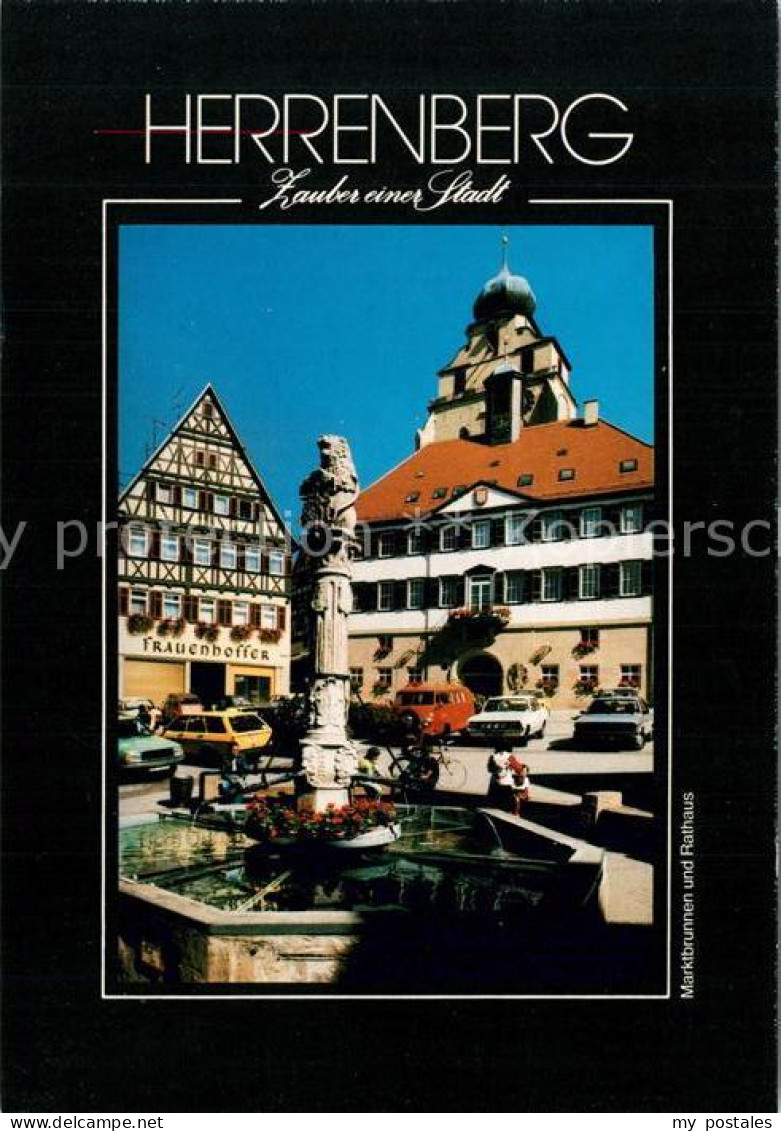 Herrenberg Wuerttemberg Marktbrunnen Rathaus