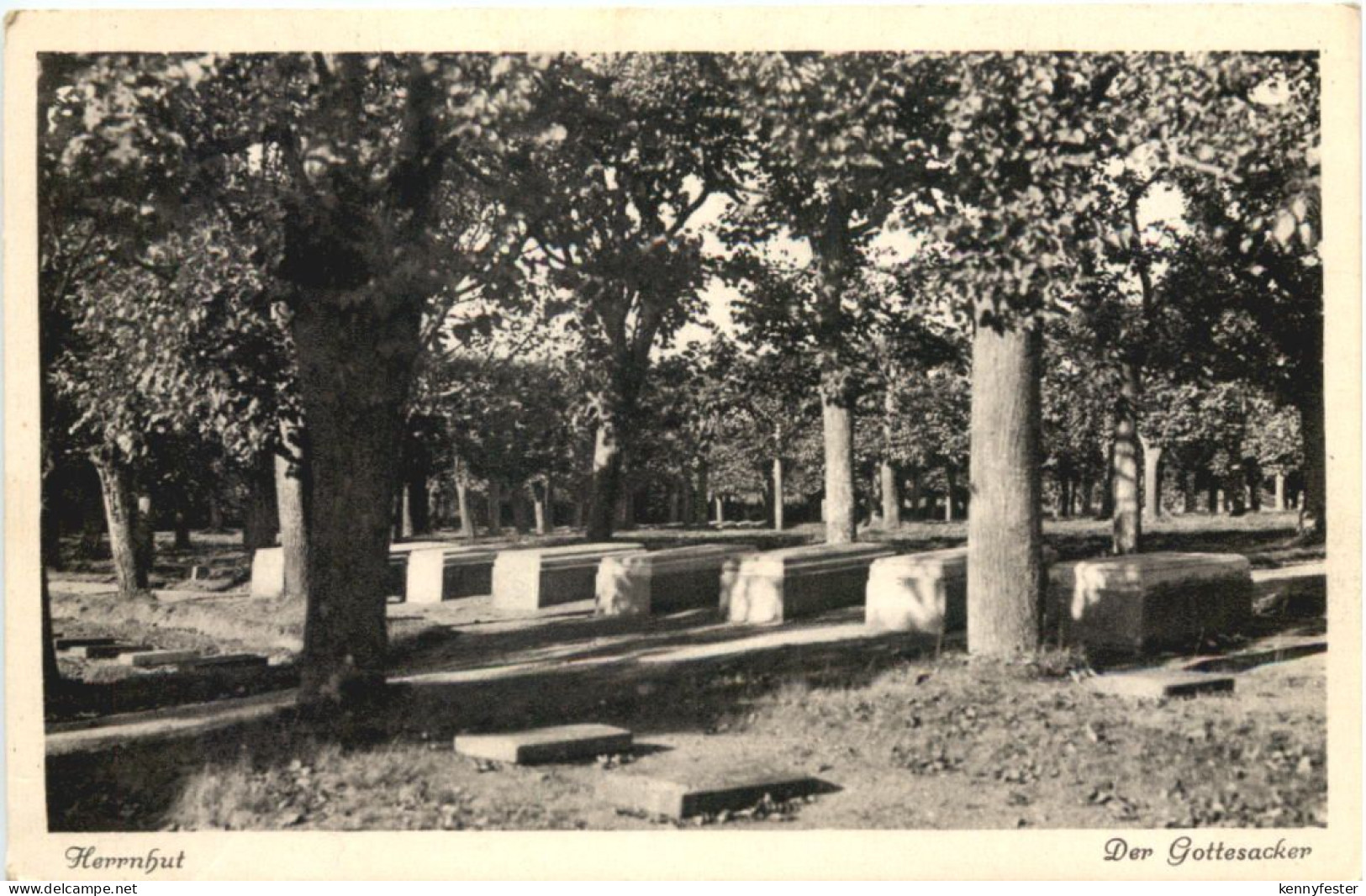 Herrnhut - Gottesacker