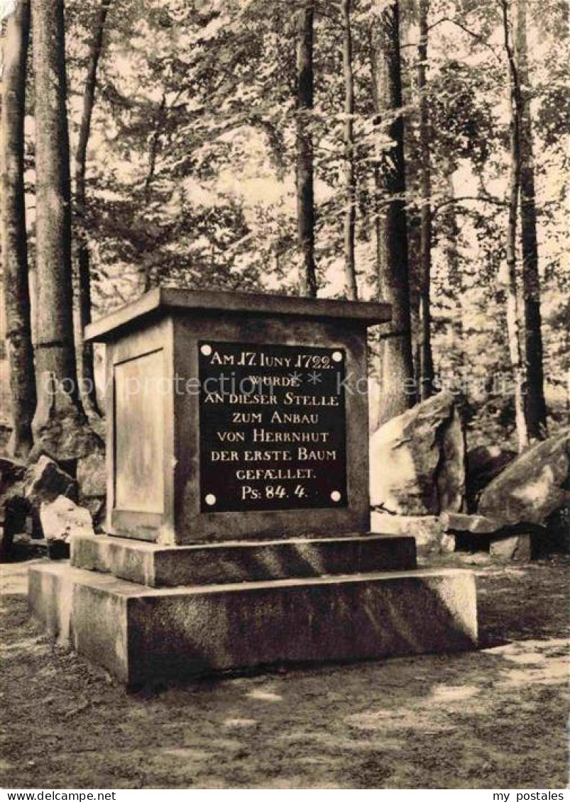 Herrnhut Loebau Goerlitz Sachsen Gedenkstein Inschrift Wald Baeume Herrnhut-Grue