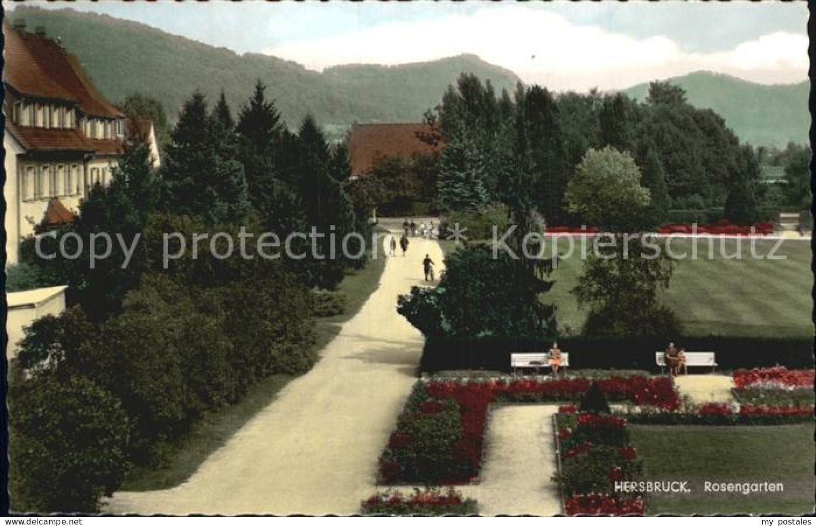 Hersbruck Bayern Rosengarten