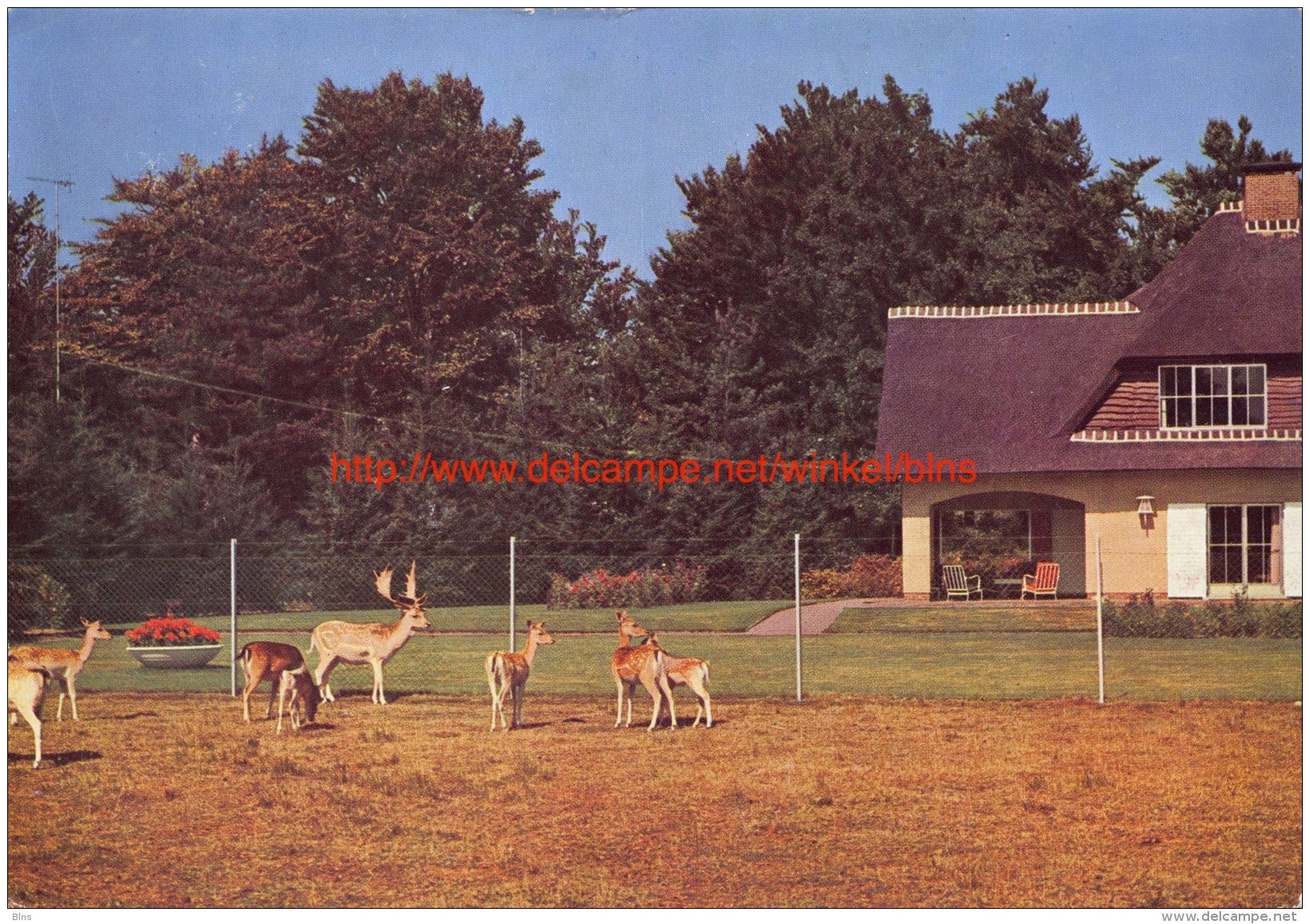 Hertenpark Hof ter Linden - 's Gravenwezel Schilde