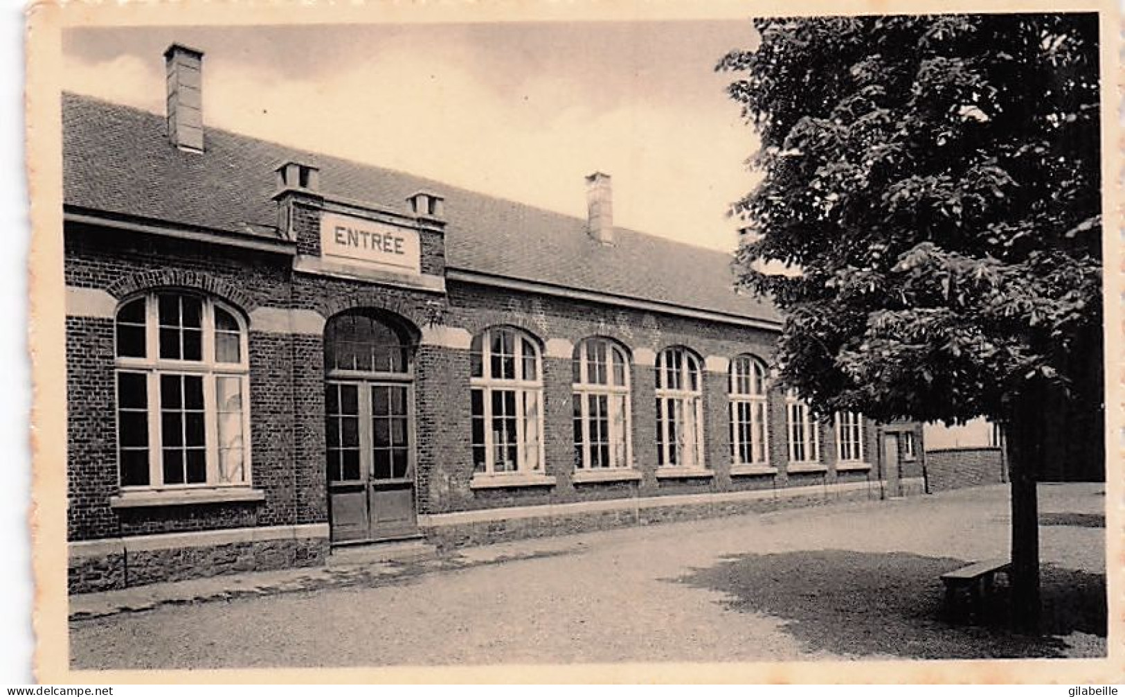 Herve - BATTICE - ecole