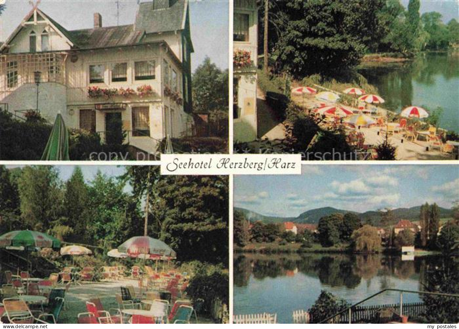 Herzberg  Harz Osterode Niedersachsen Seehotel Herzberg Terrasse Seepartie