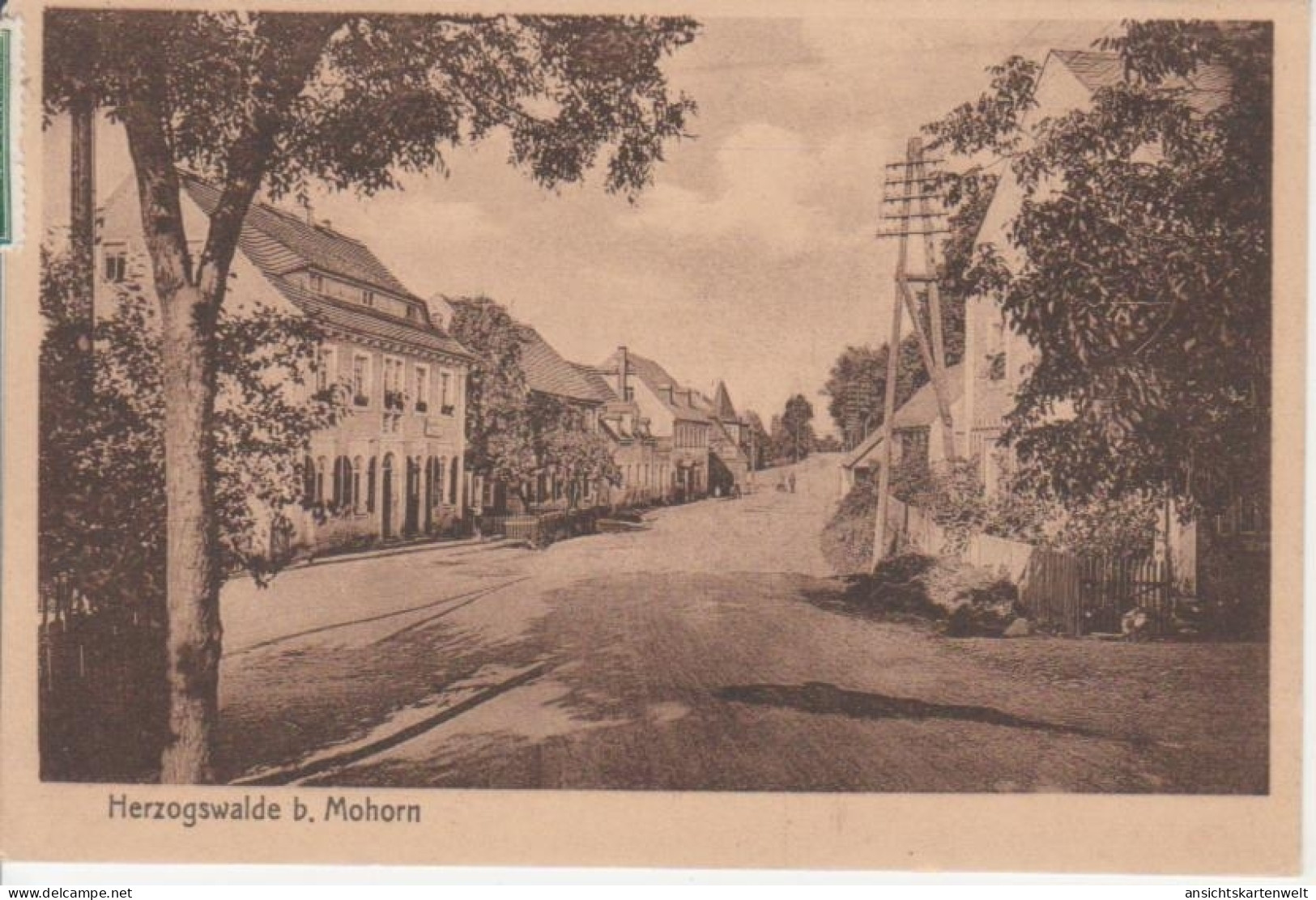 Herzogswalde bei Mohorn Teilansicht gl1928 #86.573