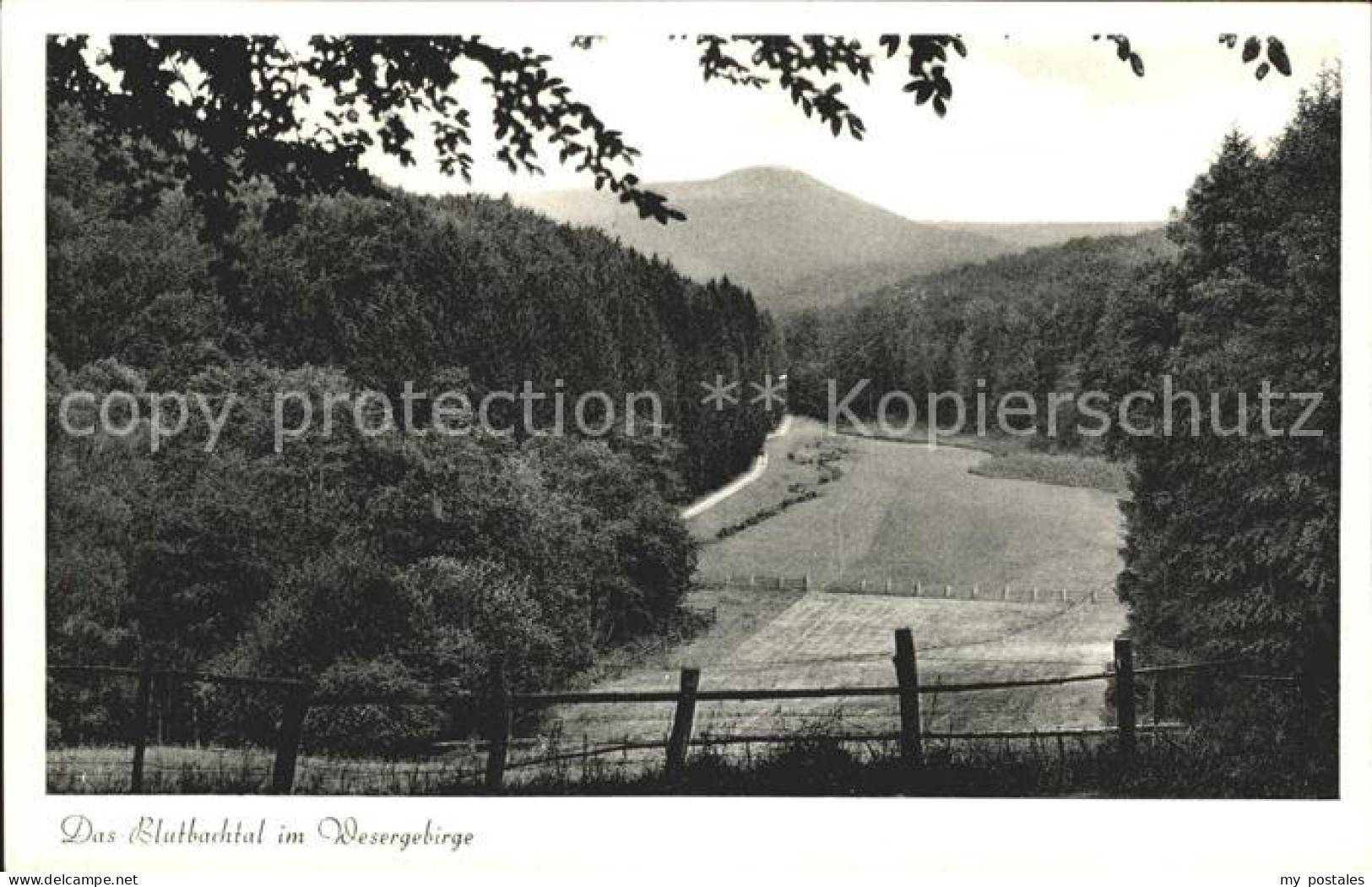 Hessisch Oldendorf Blutbachtal Wesergebirge