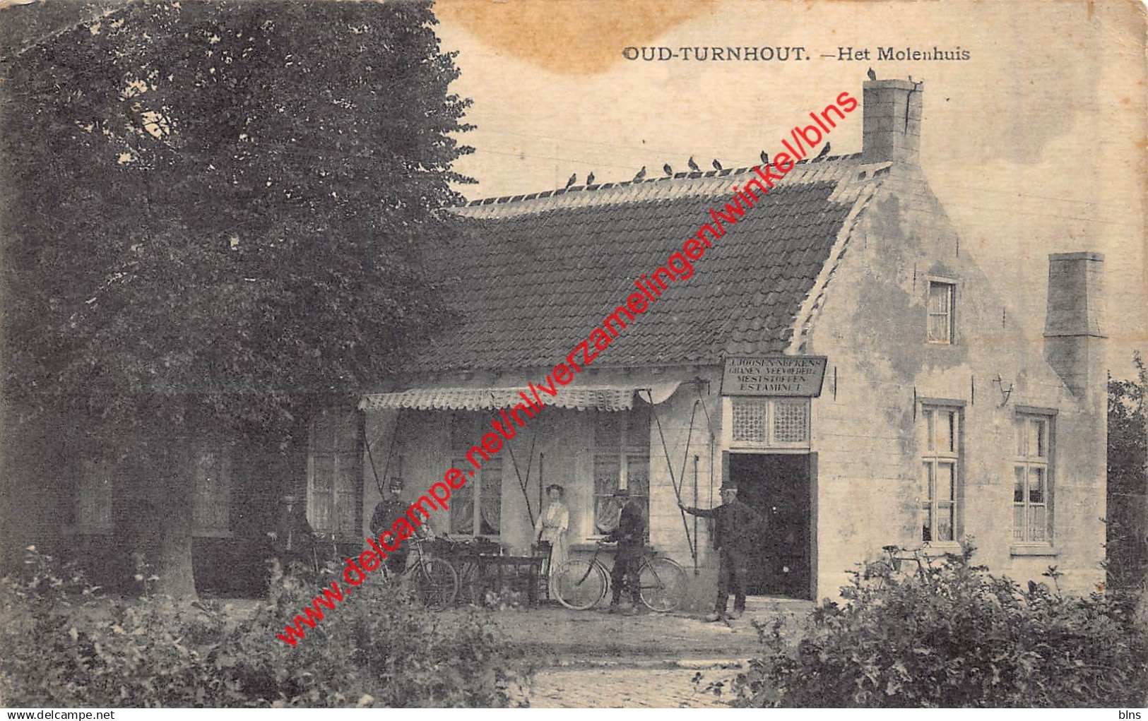 Het Molenhuis - Oud-Turnhout - Oud-Turnhout