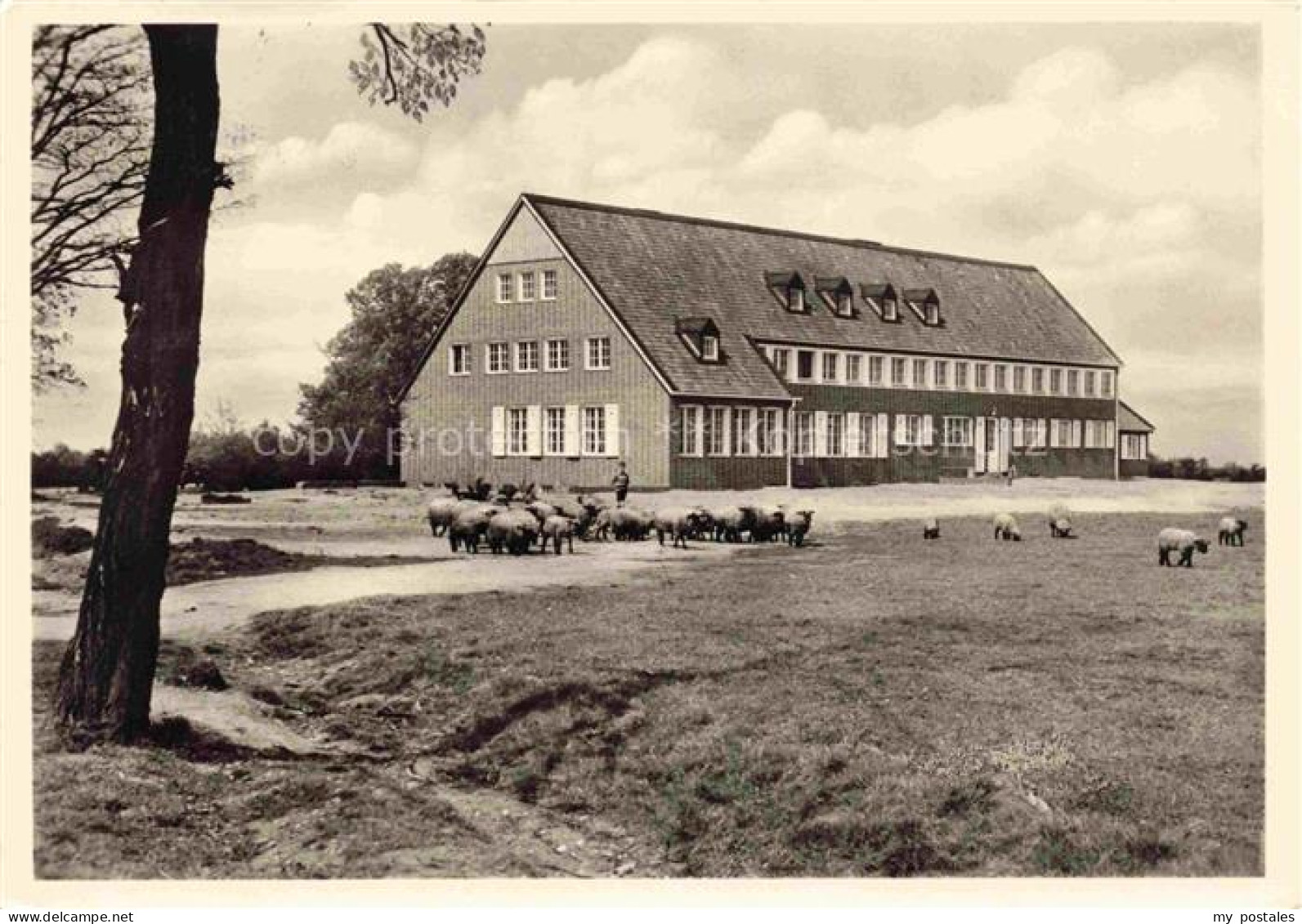 Hinsbeck Nettetal Viersen NRW Jugendherberge Vierlinden