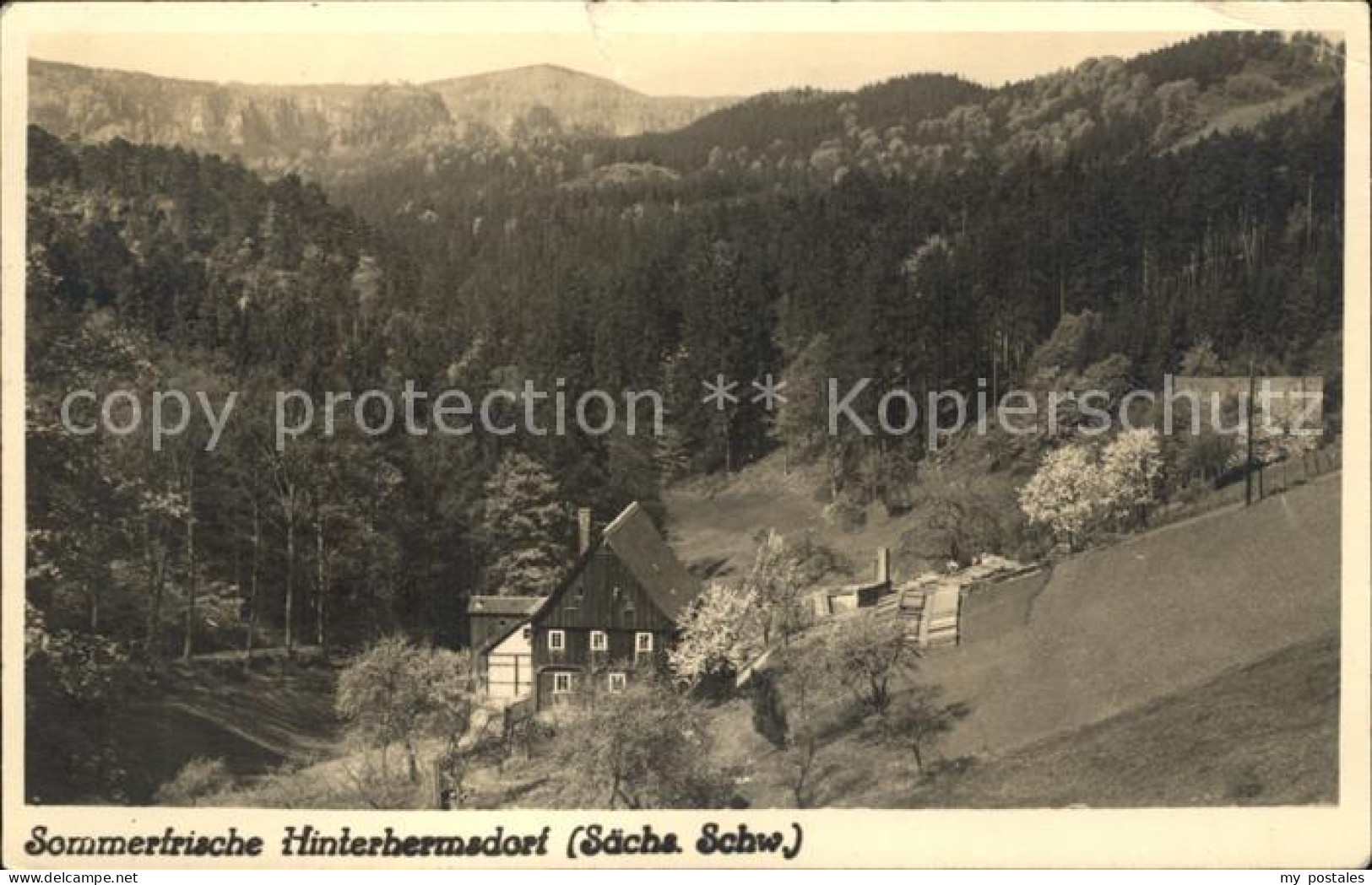 Hinterhermsdorf Dorfmotiv