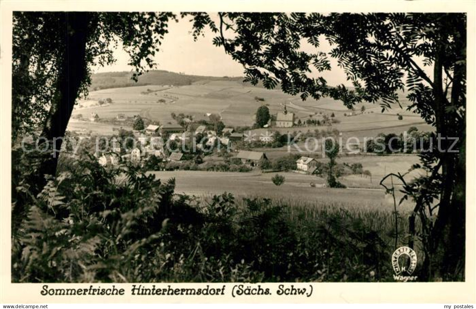 Hinterhermsdorf Panorama