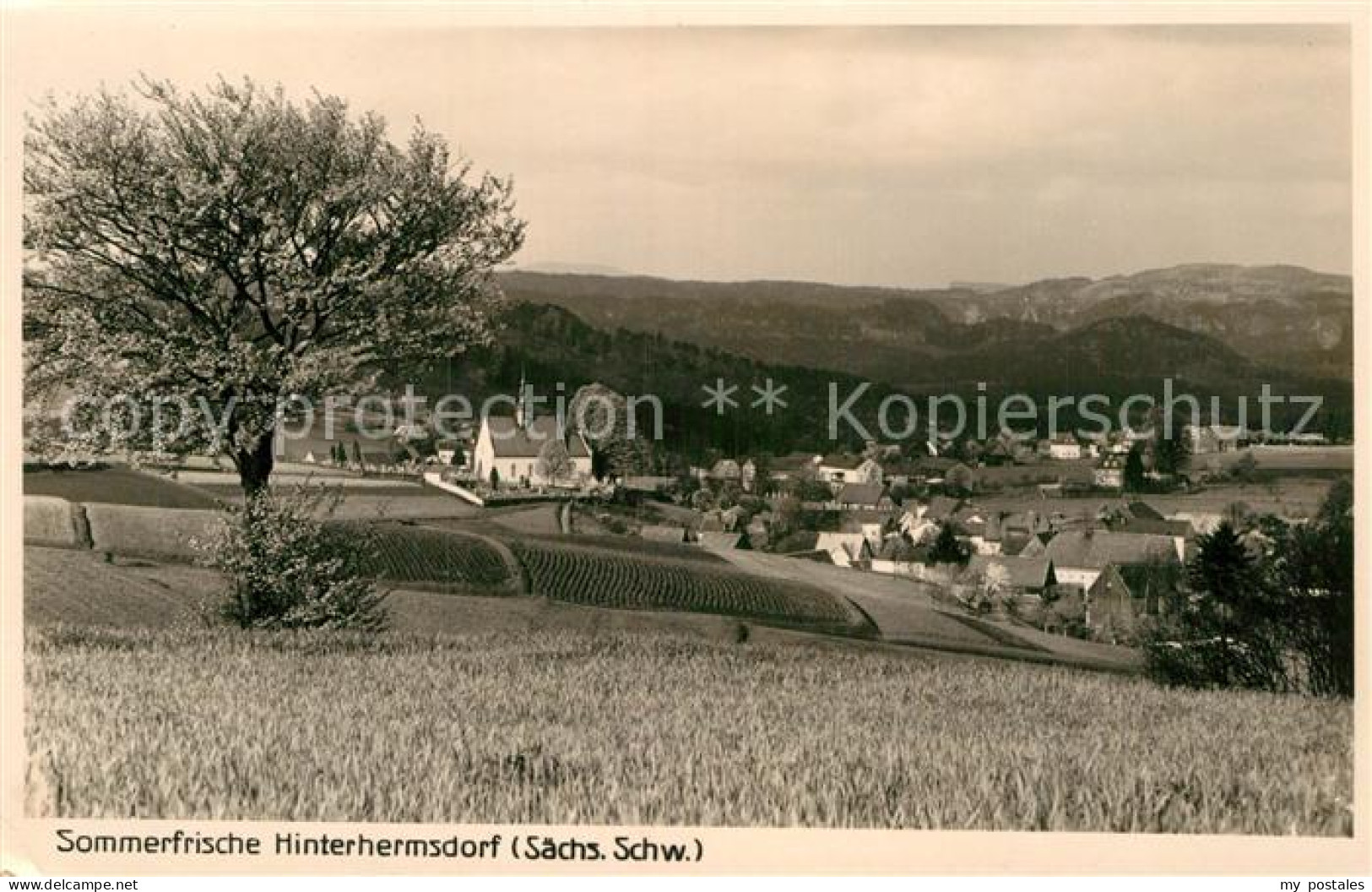 Hinterhermsdorf Panorama